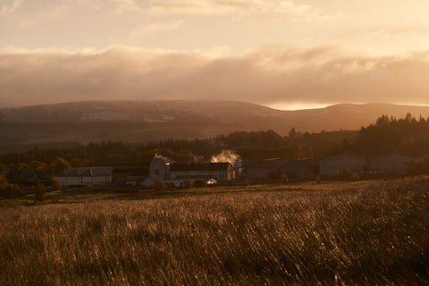 a photo of the Tomatin distillery taken from afar in a field with the forsest and mountains in the background. Orange sunset giving the scene a slight sepia hue. 
